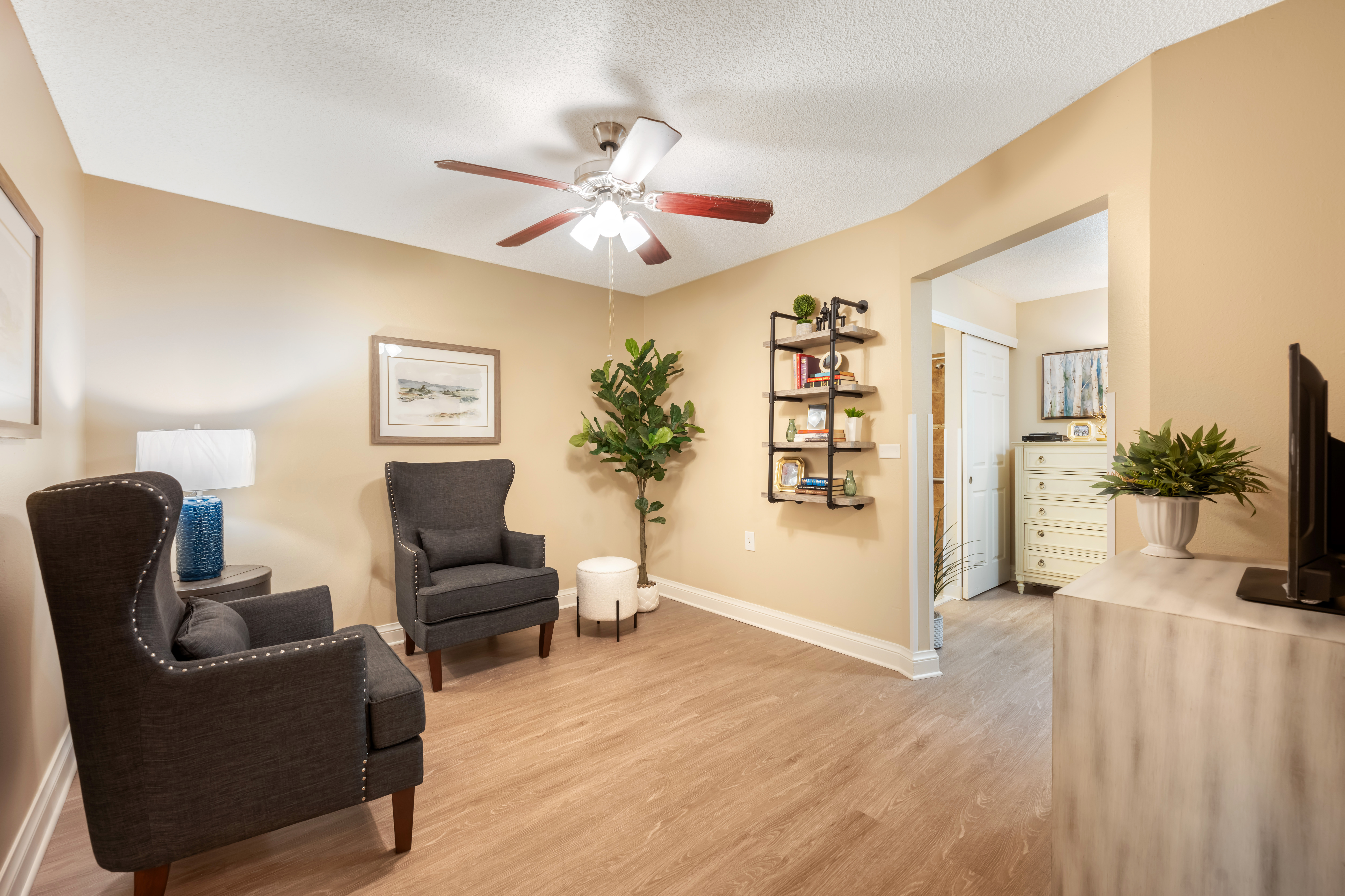 deland-apartment-living-room