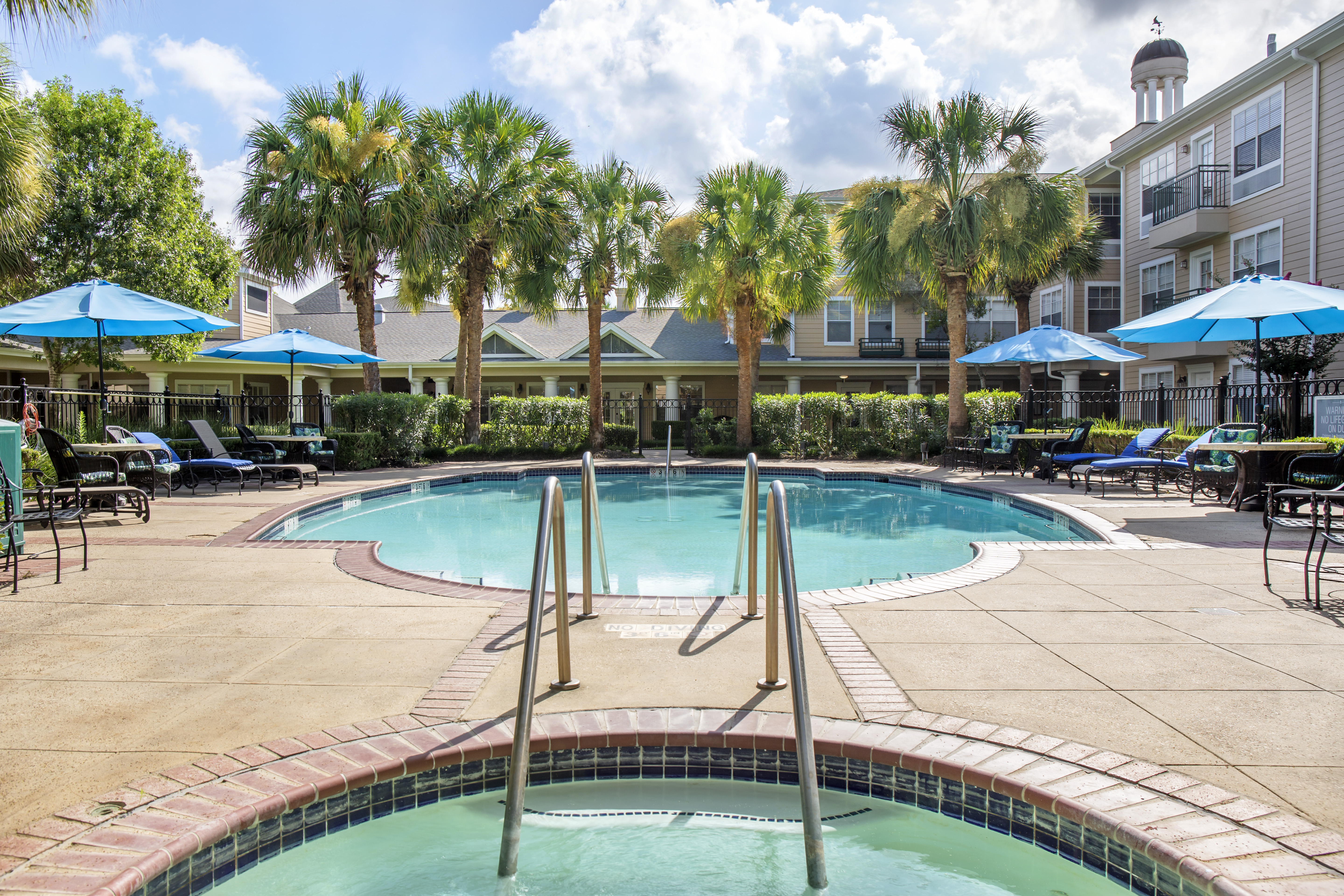 3-first-colony-pool
