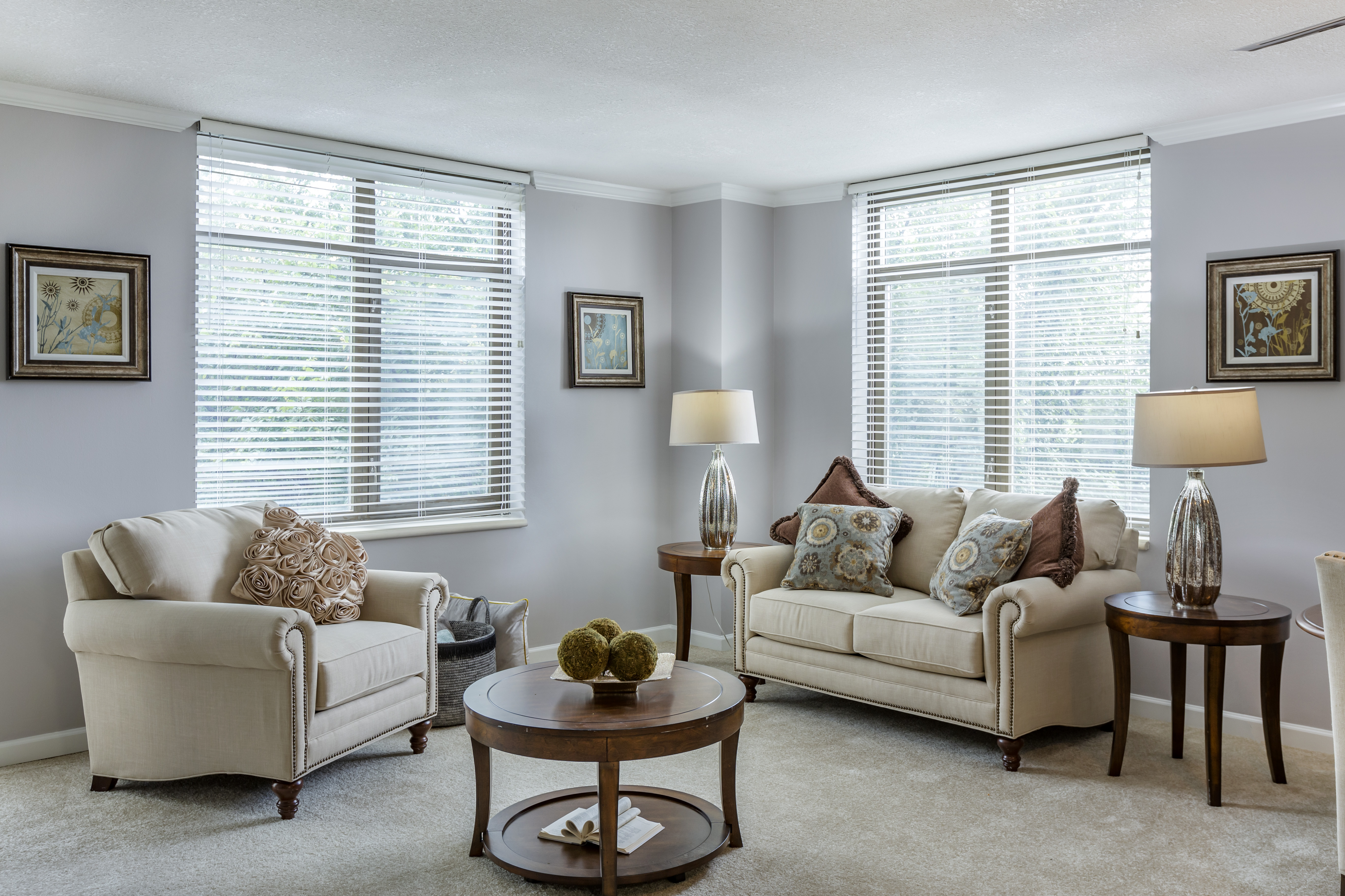 1-gaines-ranch-apartment-living-room