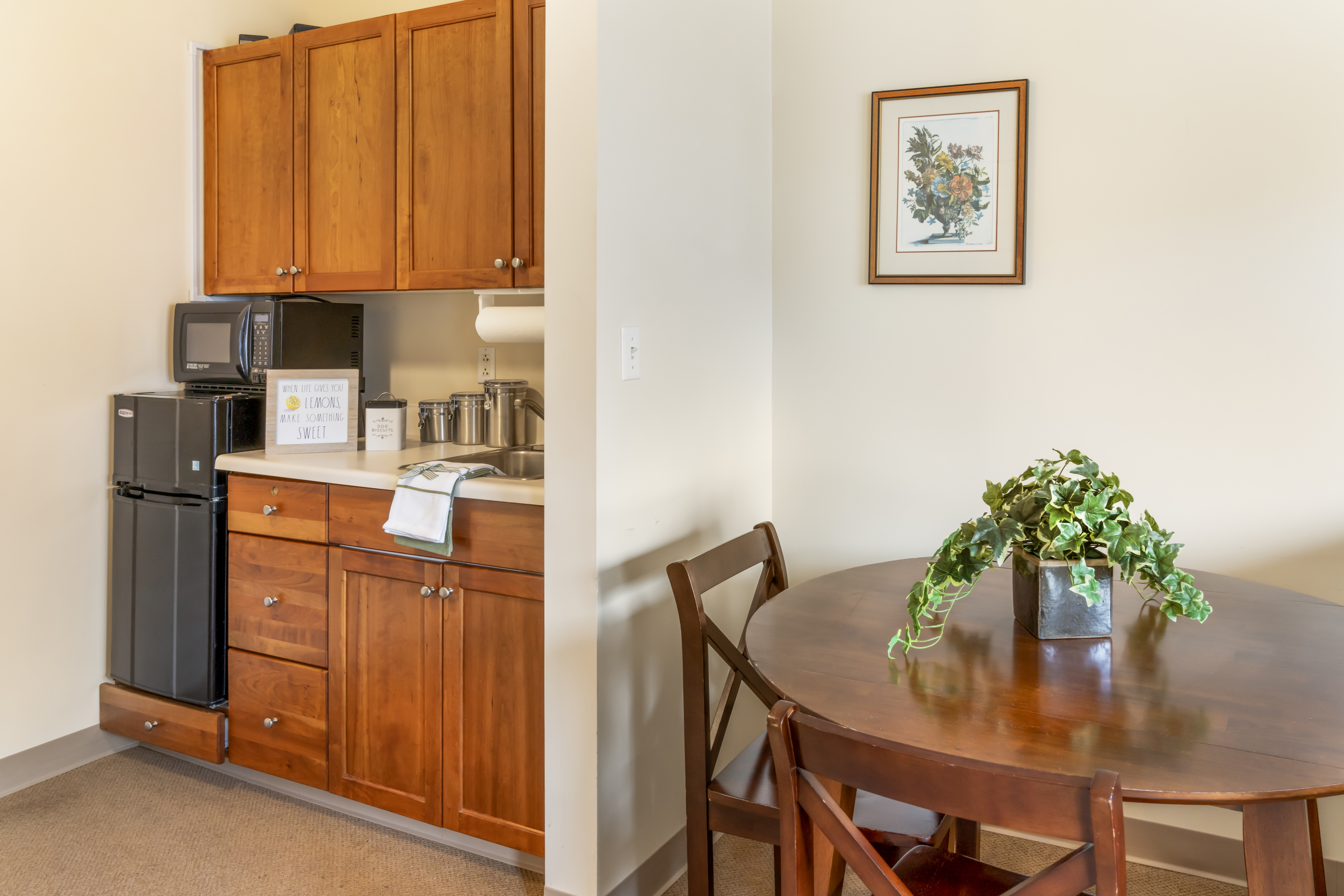 kenmore-ny-apartment-kitchen