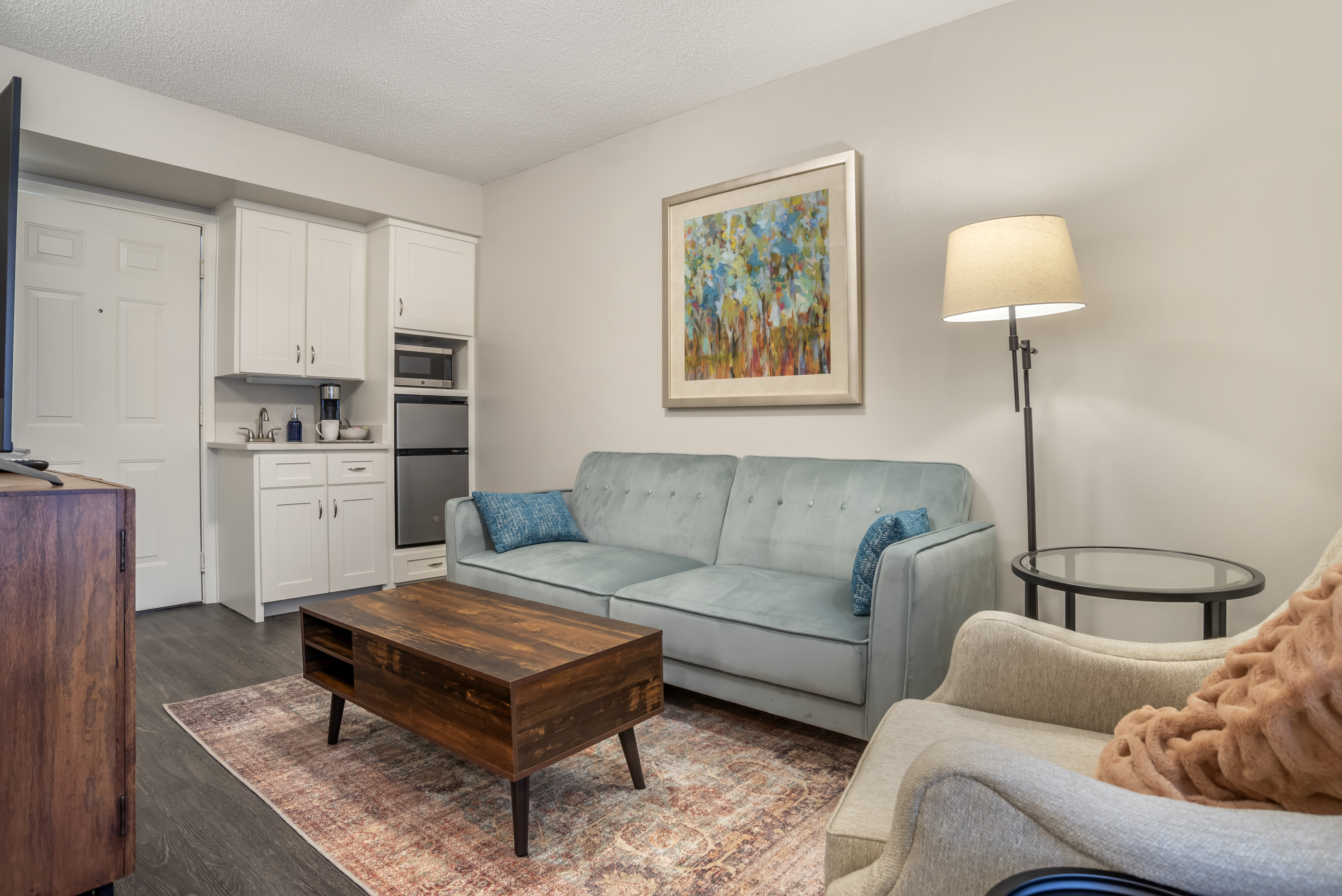 Apartment Living Room