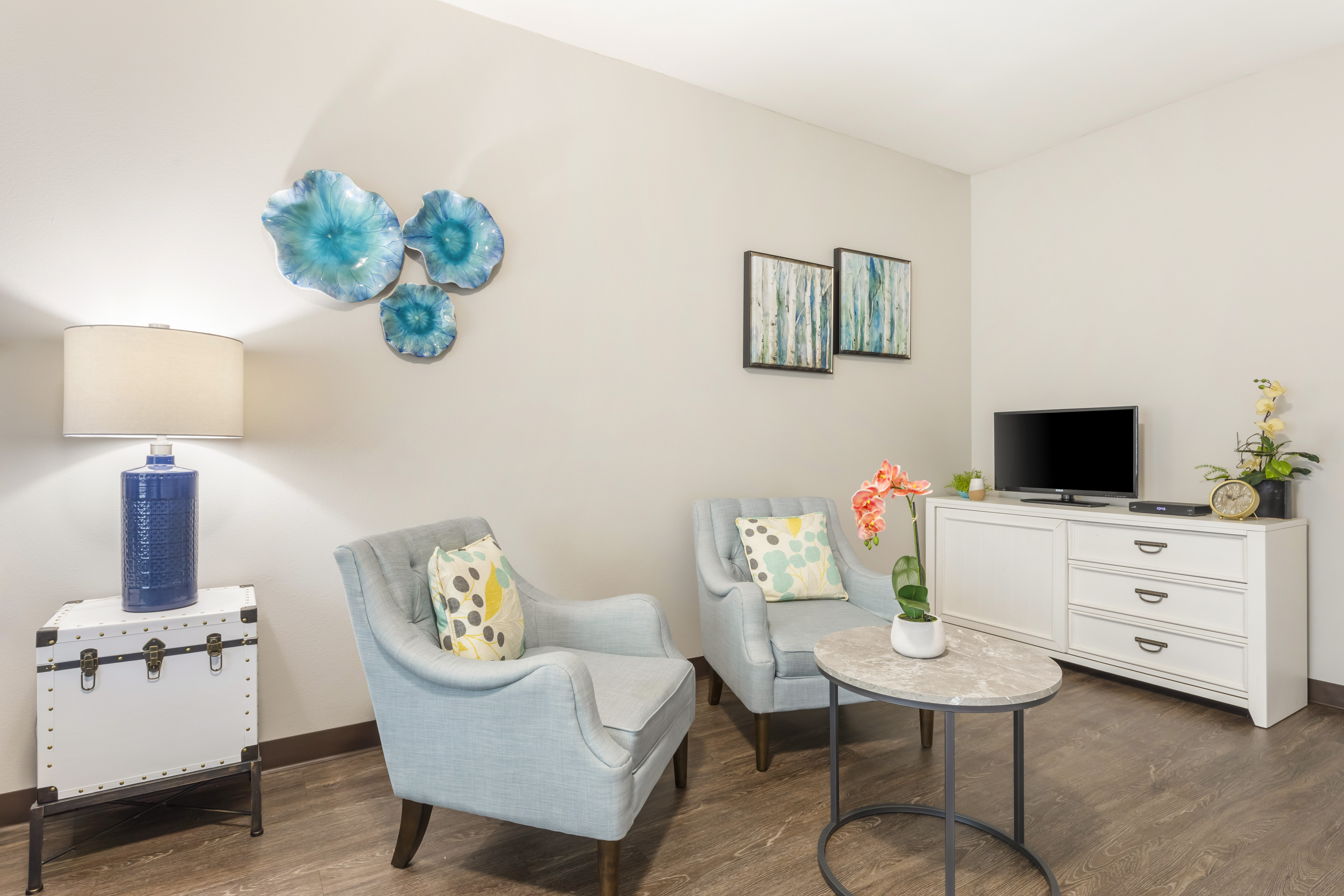 1-lake-highlands-living-room