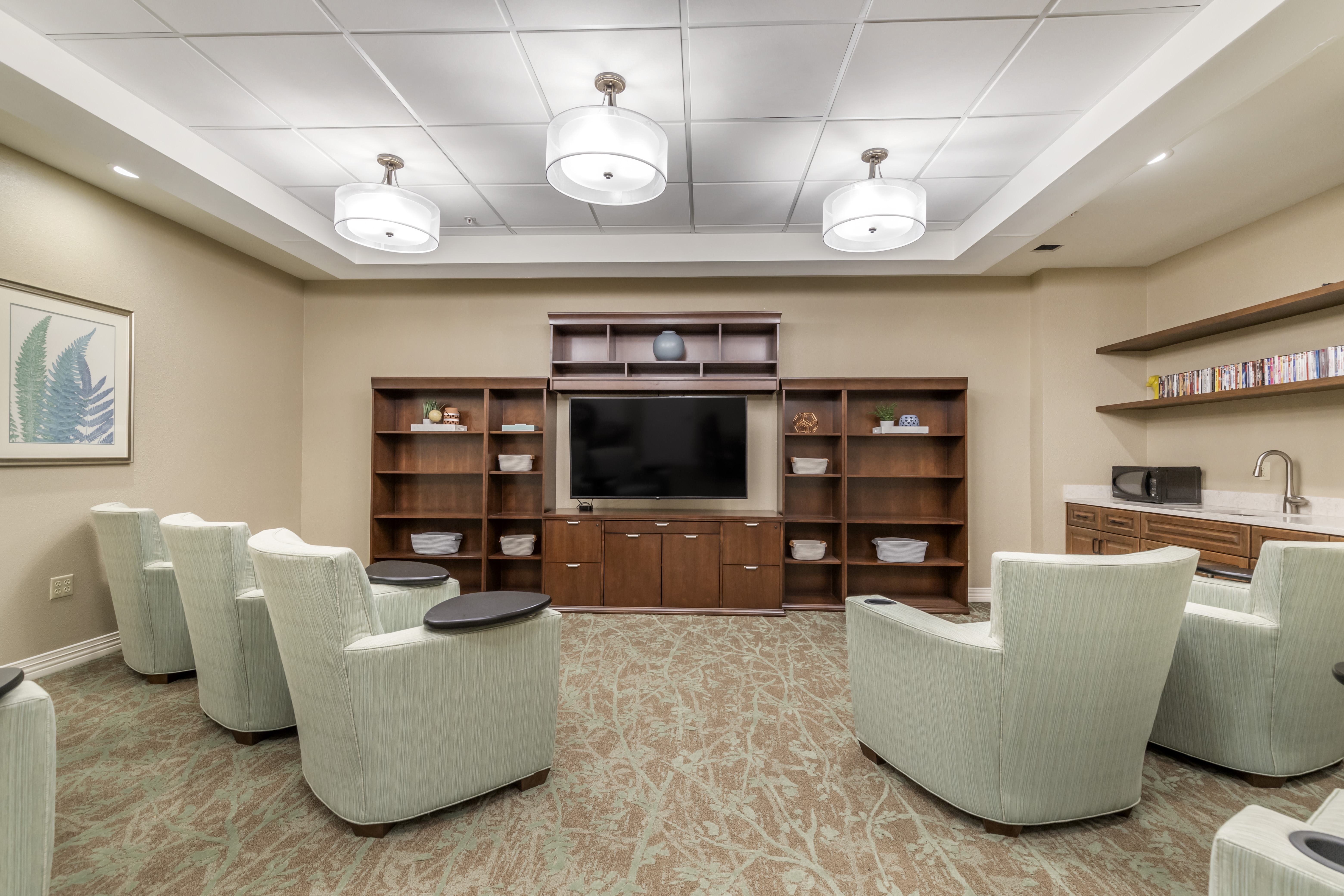 3-lakeway-movie-room