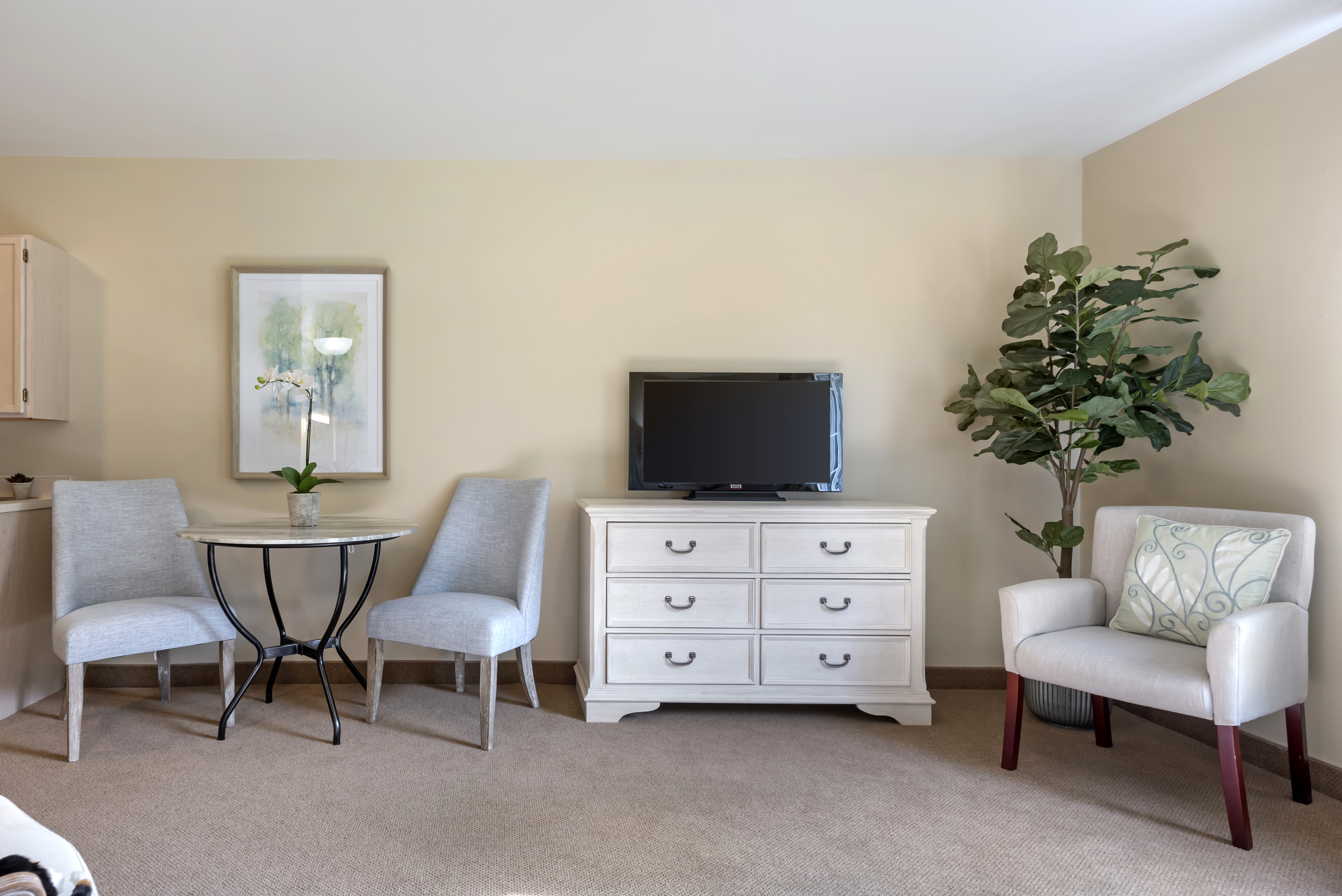 3-lakewood-apartment-living-room