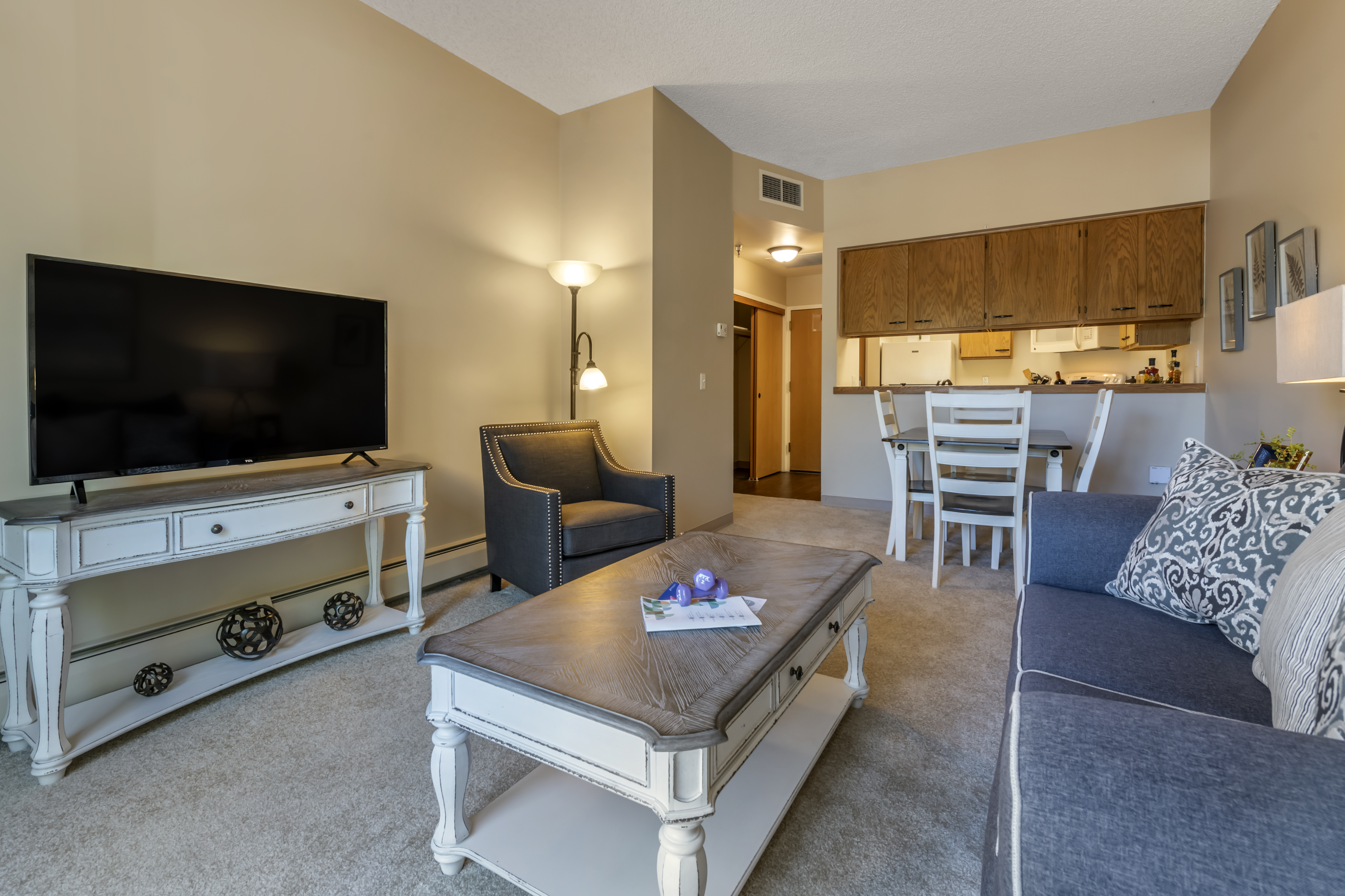 Apartment Living Room