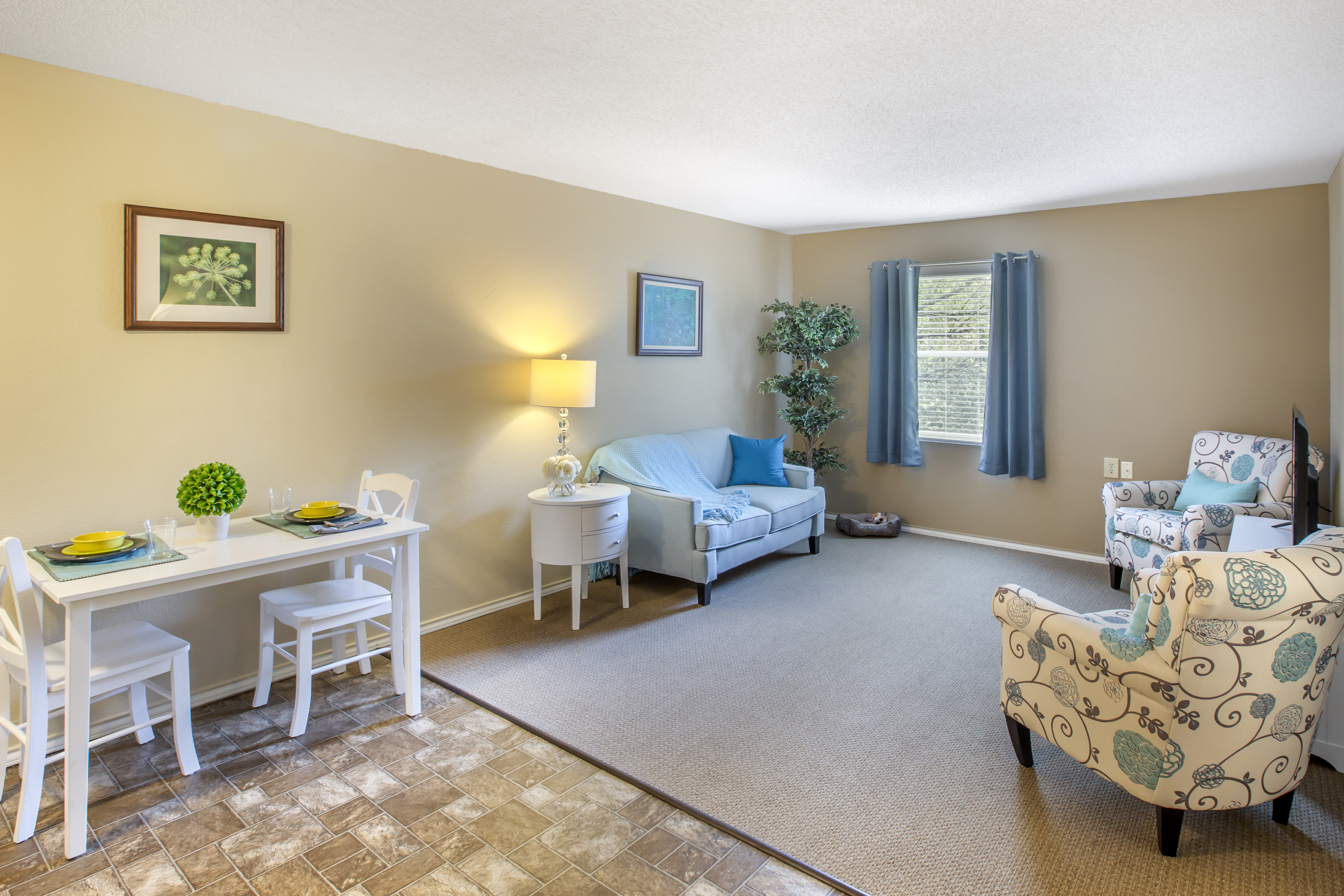 Apartment Living Room