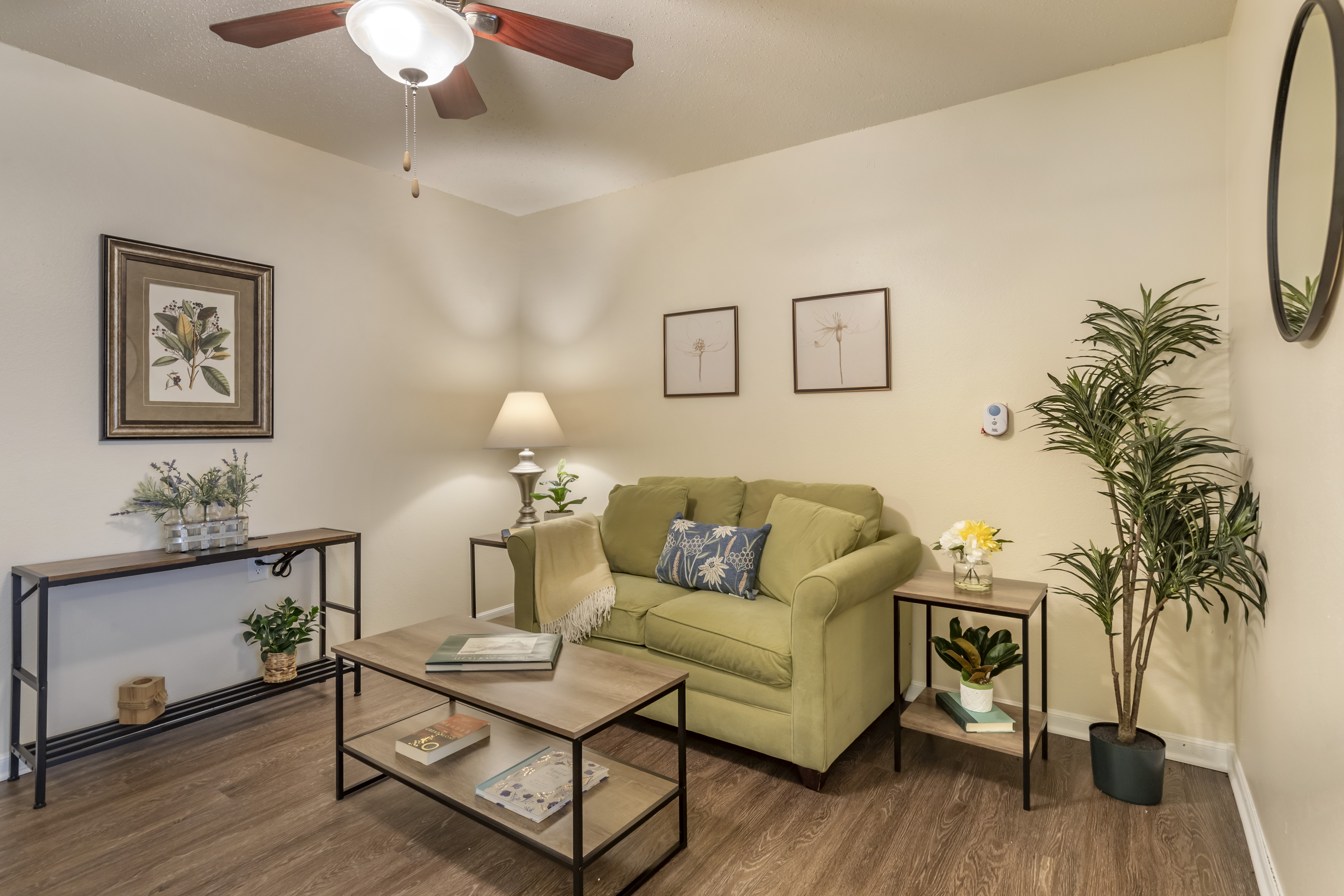 3-new-braunfels-apartment-living-room