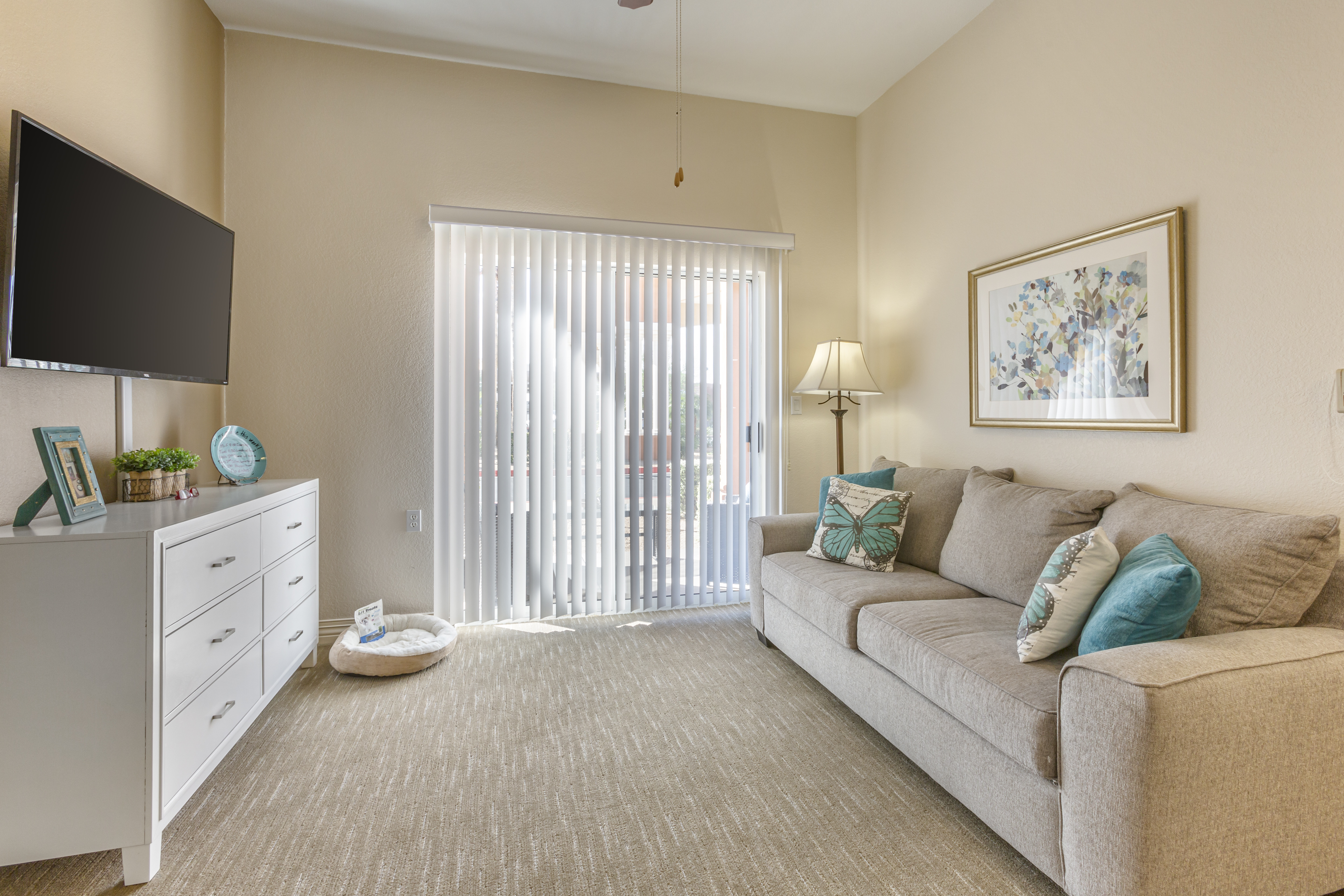 1-north-scottsdale-apartment-living-room
