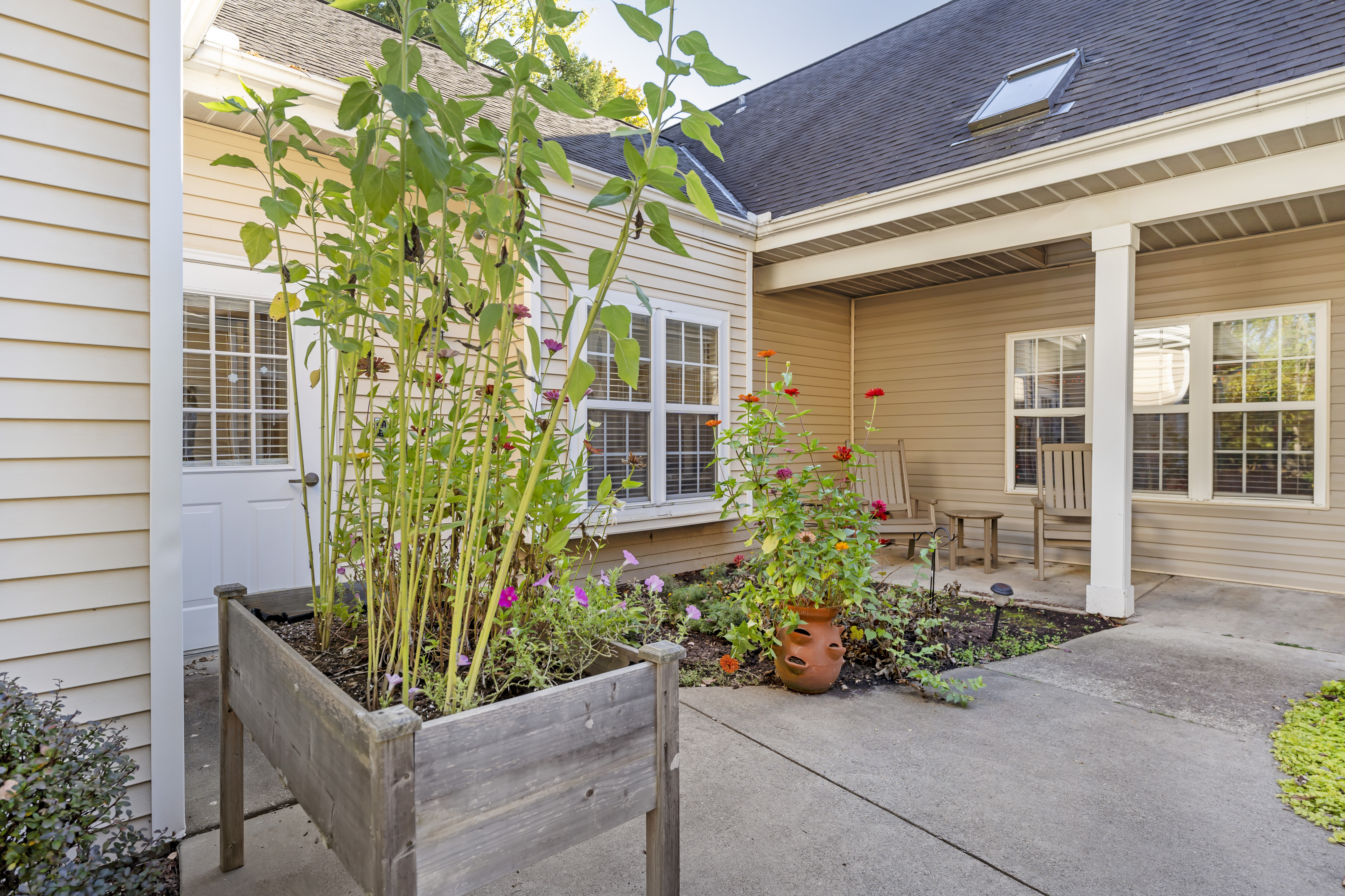 Patio Garden