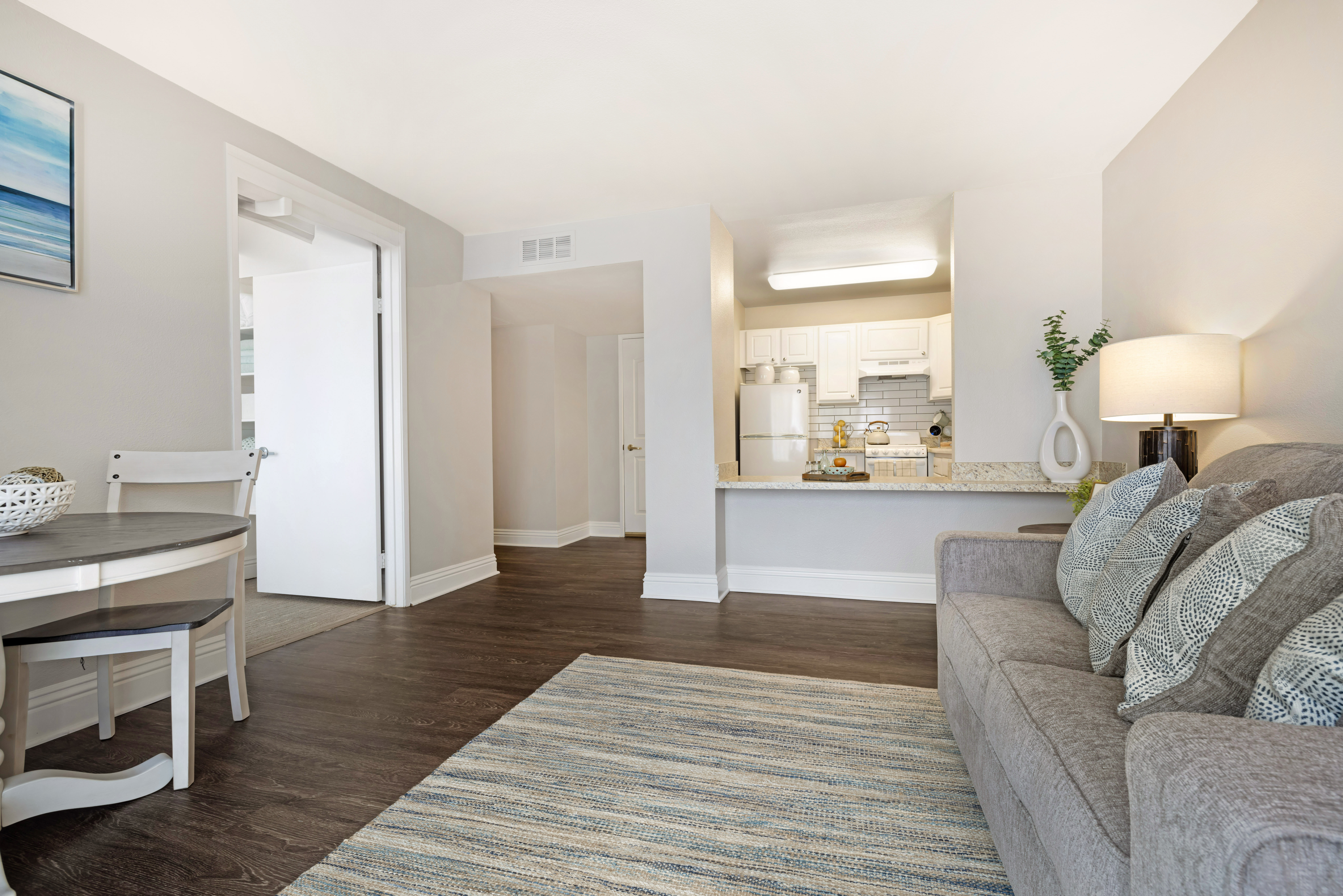 Apartment Living Room