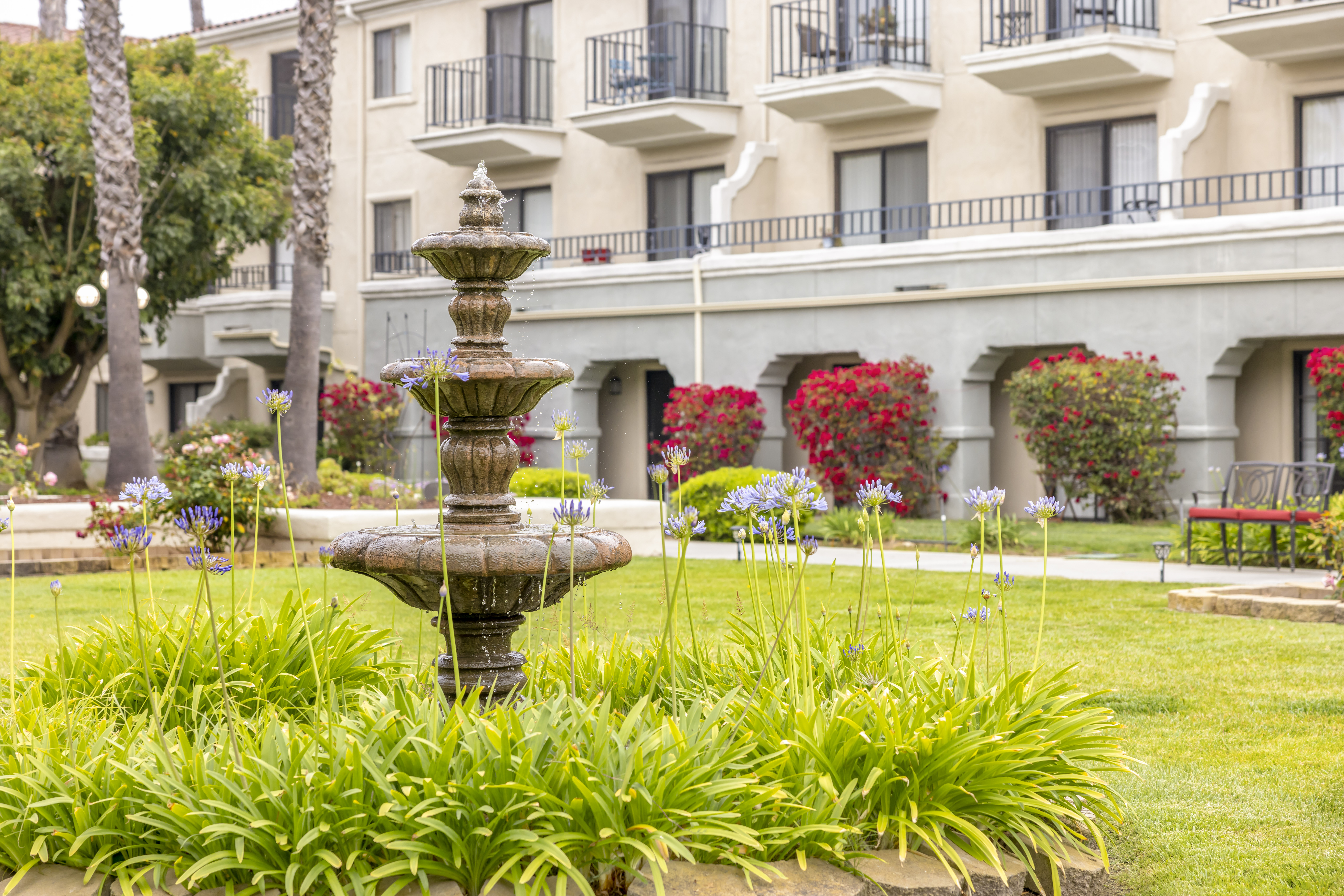 Courtyard