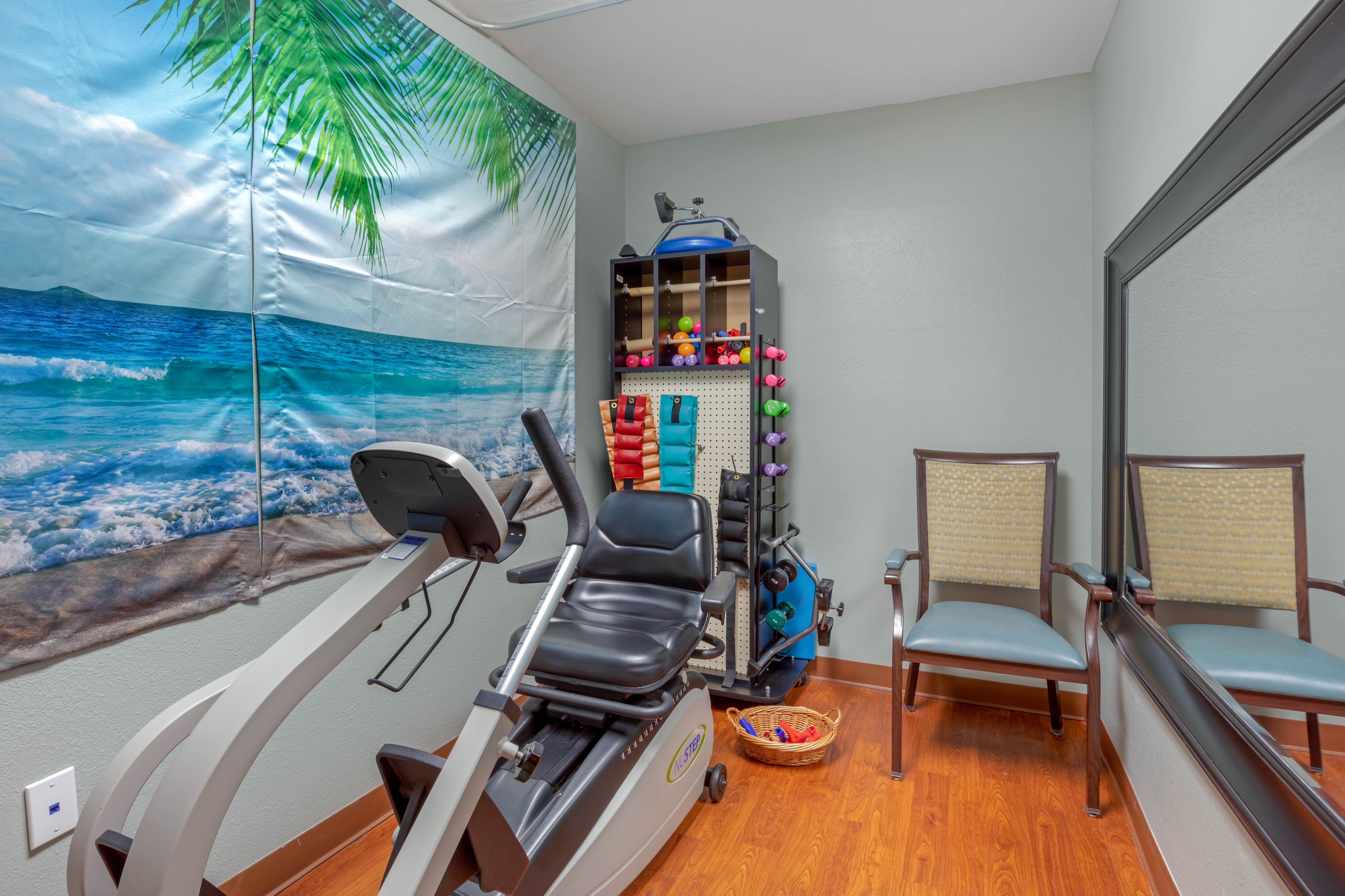 Physical Therapy