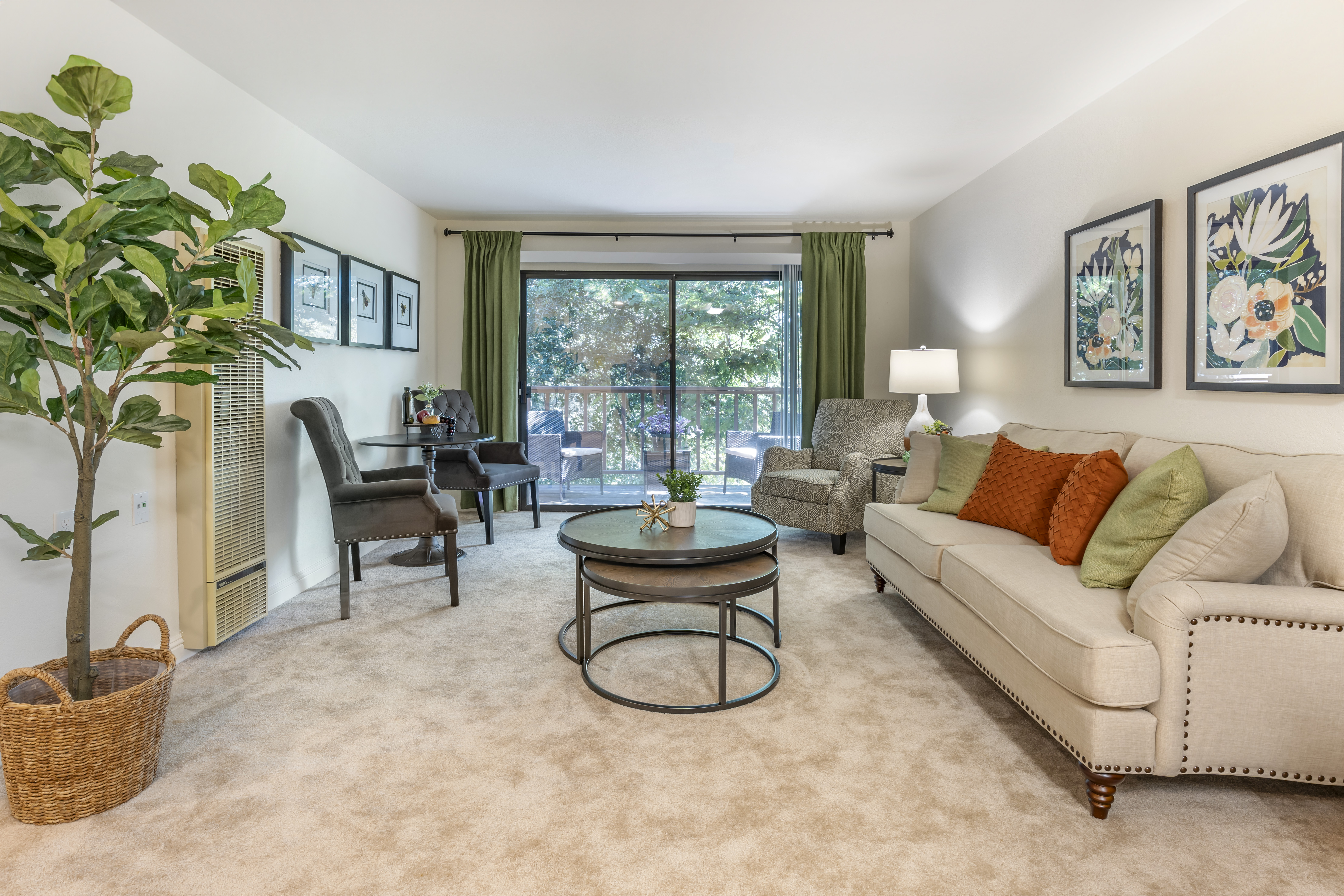 Apartment Living Room