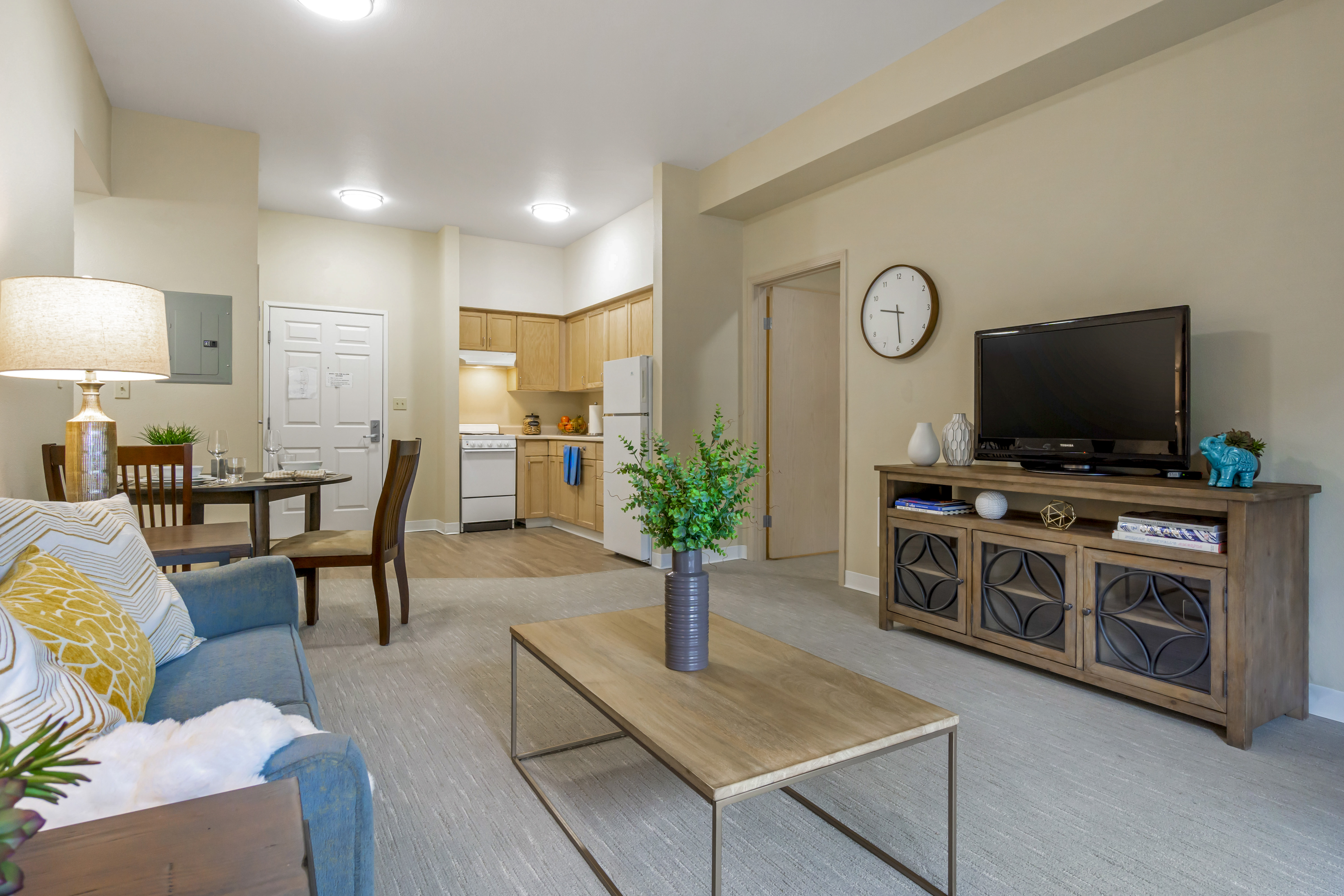 Apartment Living Room