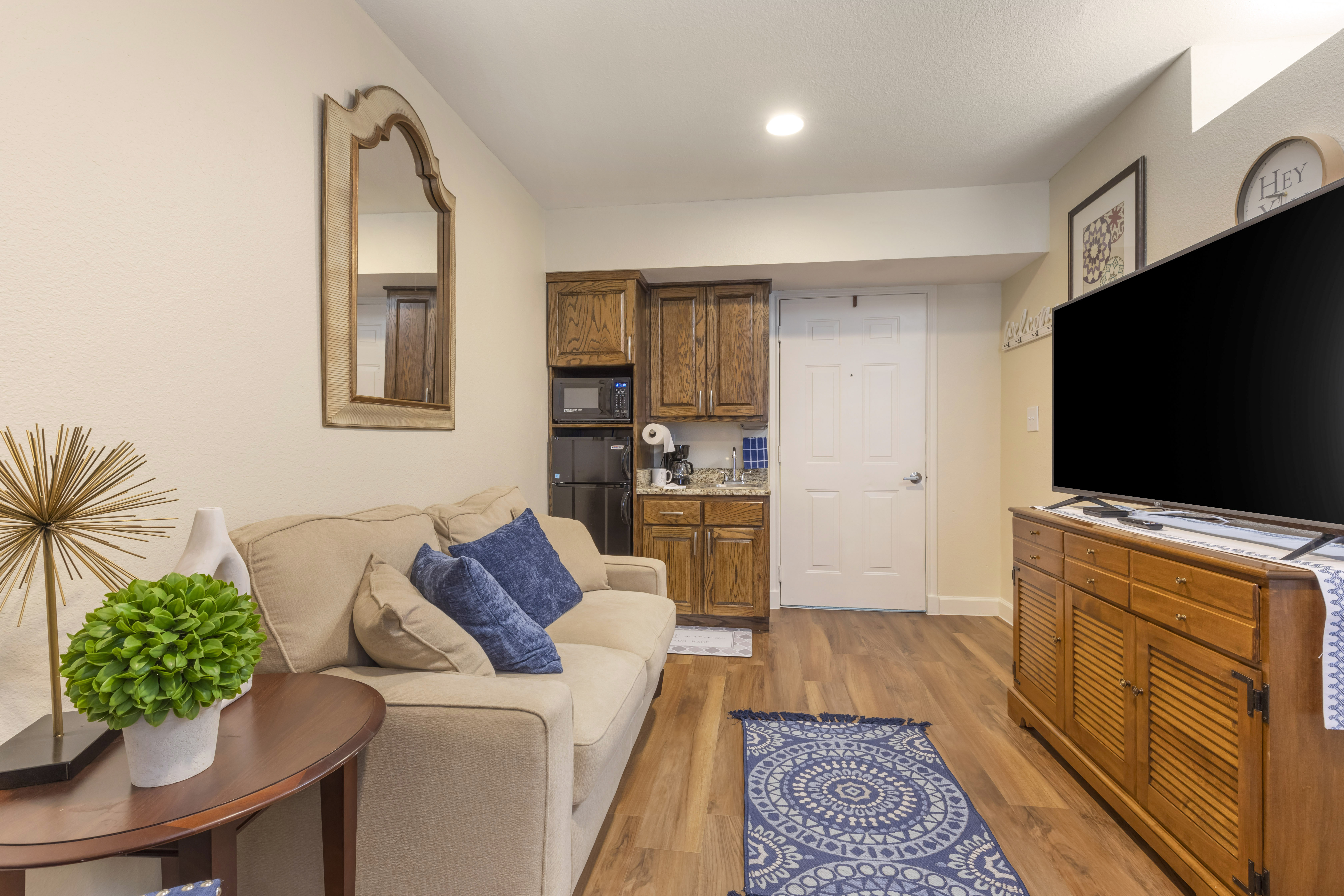 Apartment Living Room