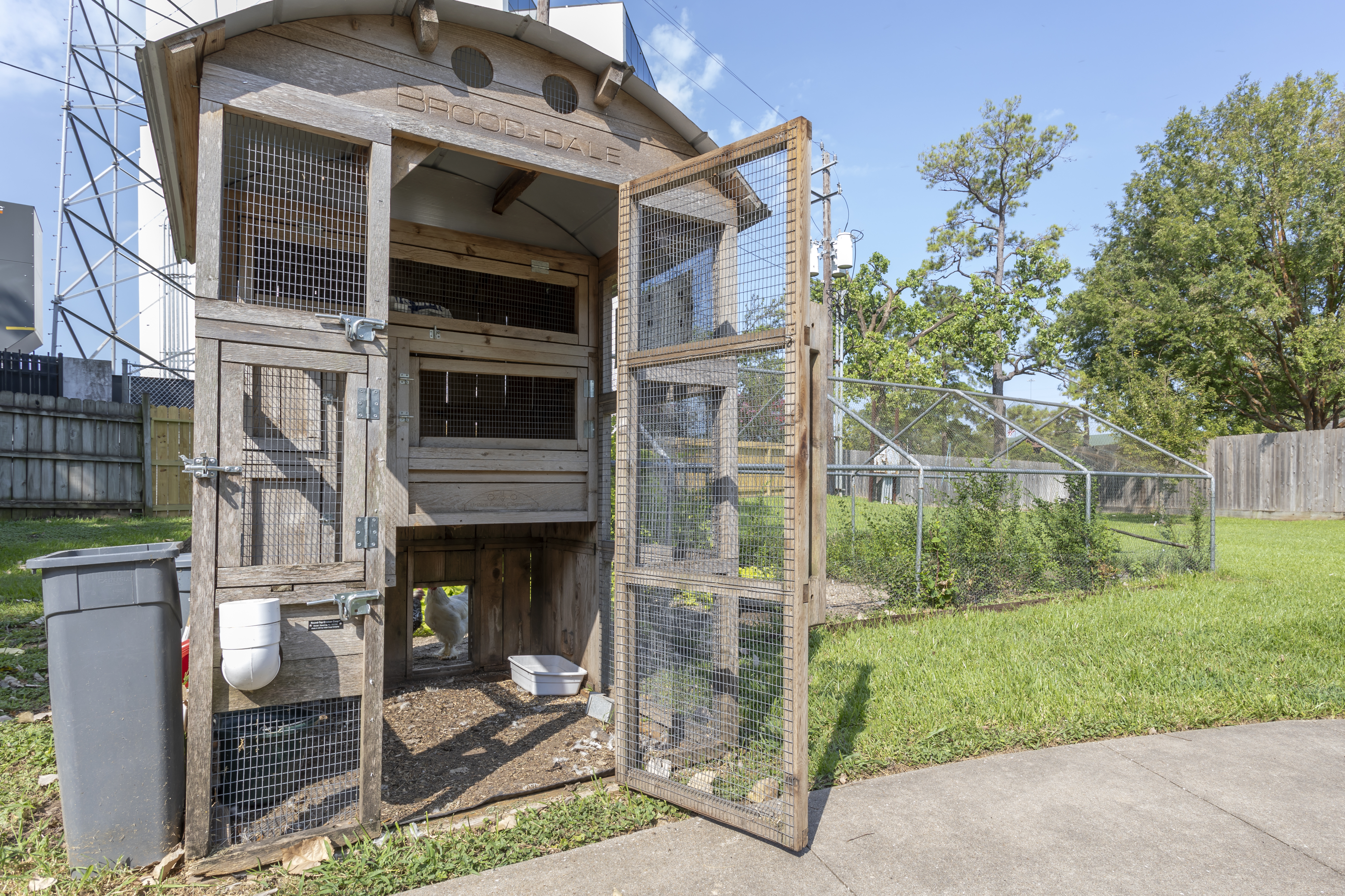 Chicken Coop