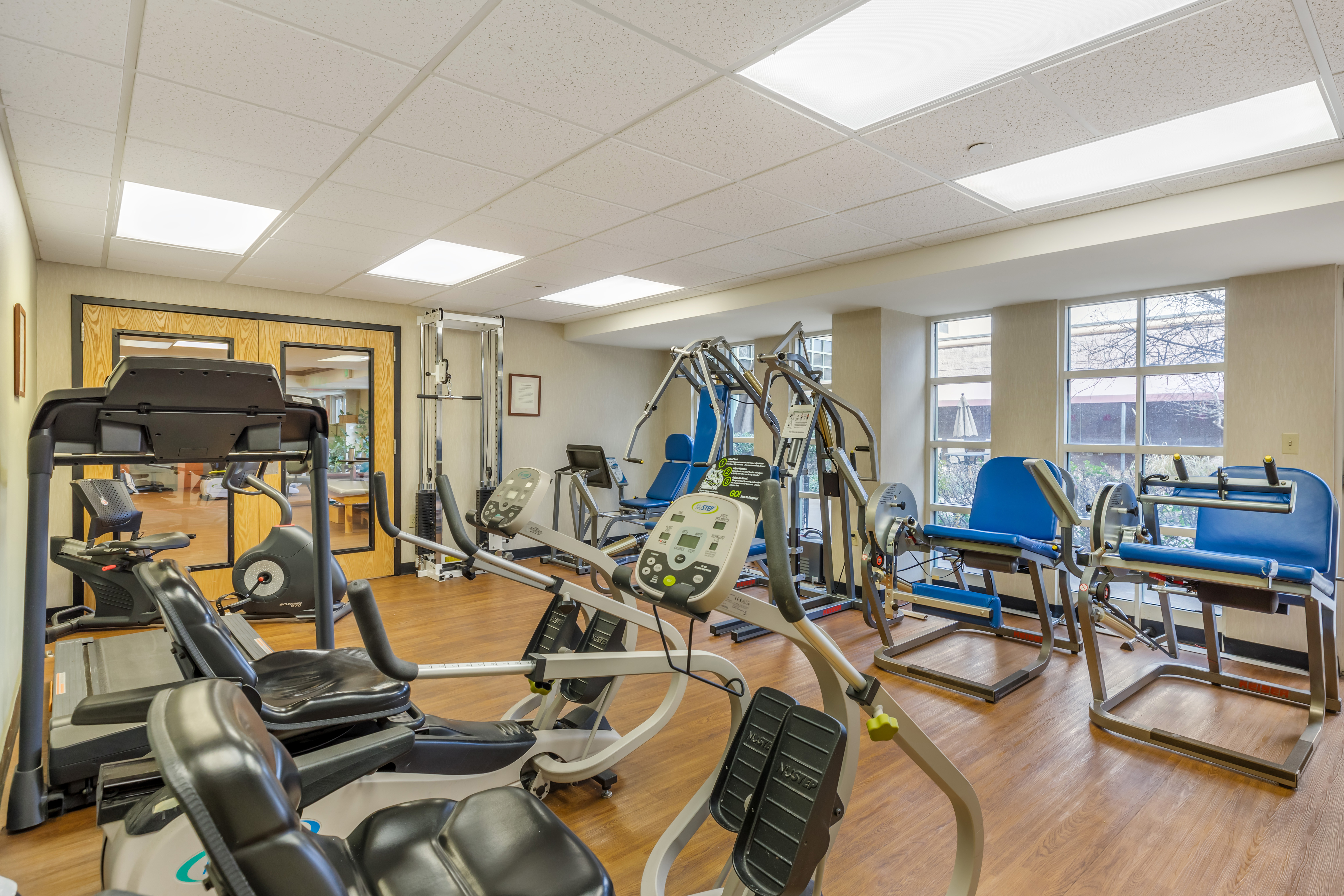 Co Physical Therapy