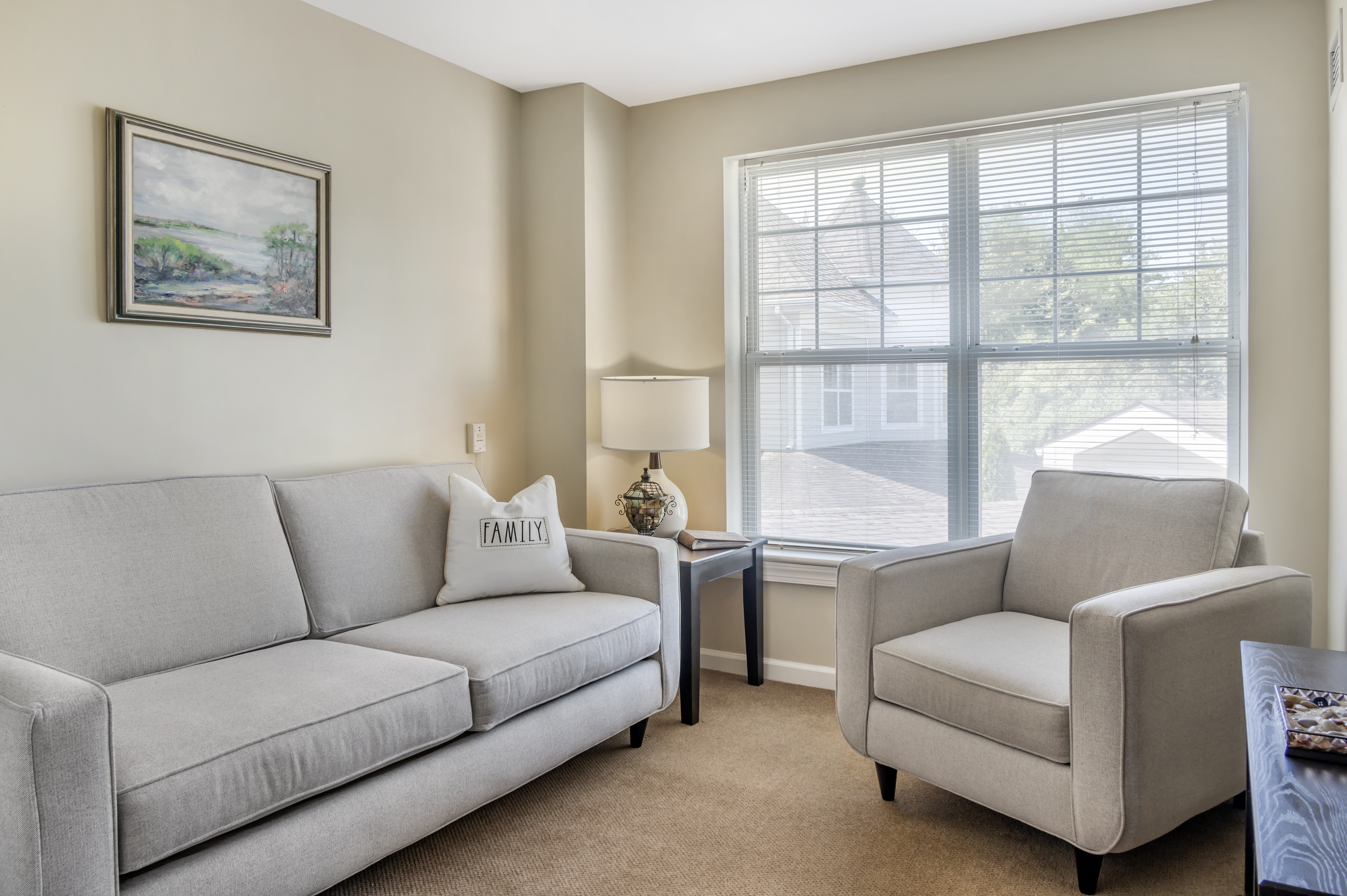 1-wilton-apartment-living-room