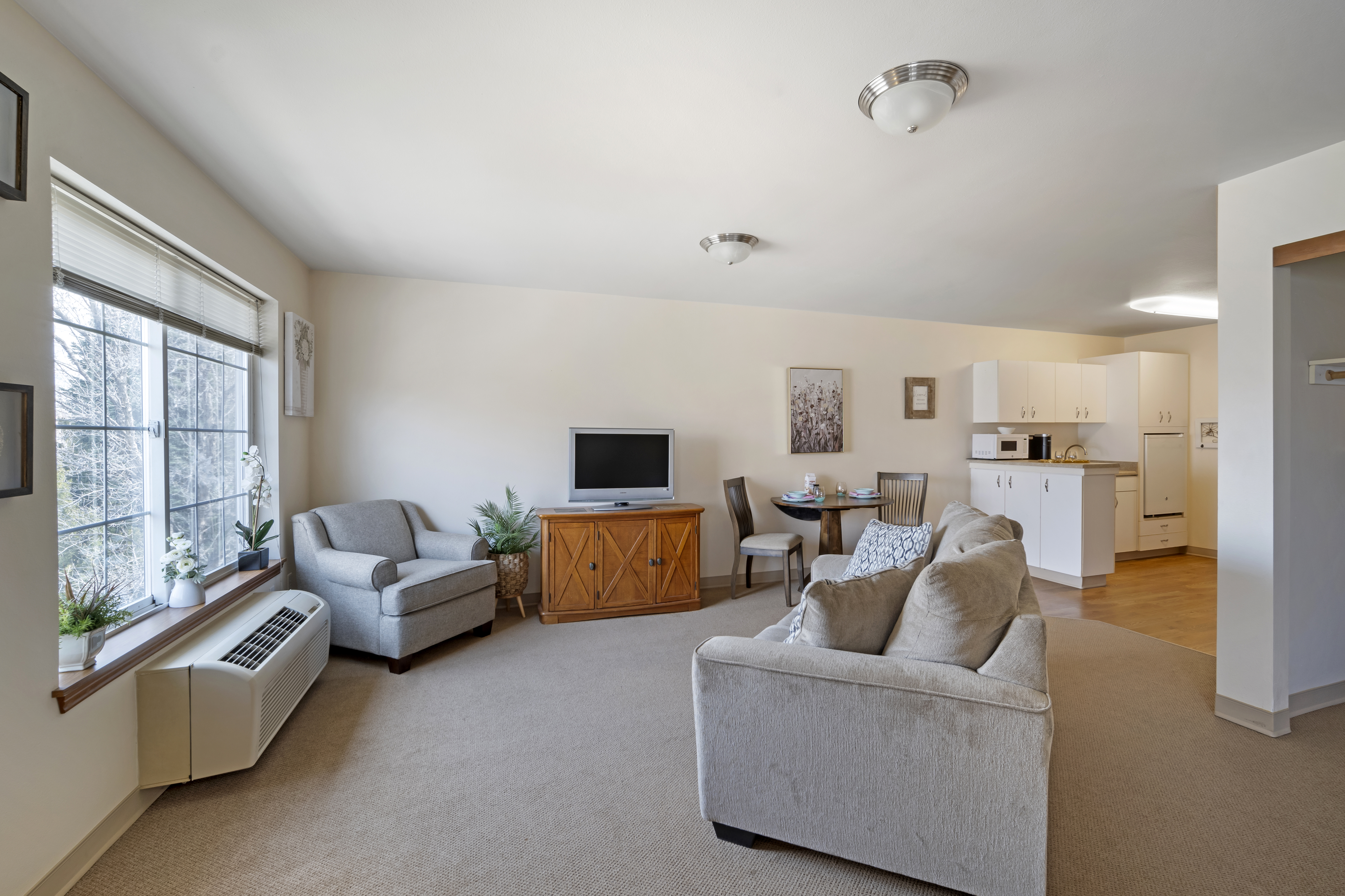 Apartment Living Room