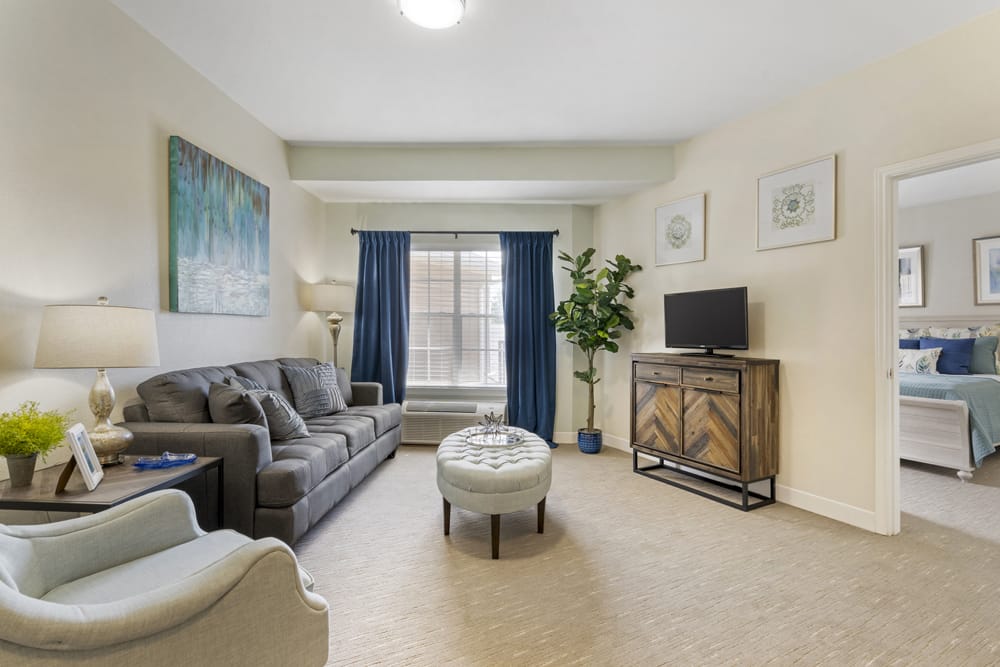 Apartment Living Room
