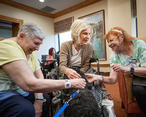 caregiver and resident shaking hands