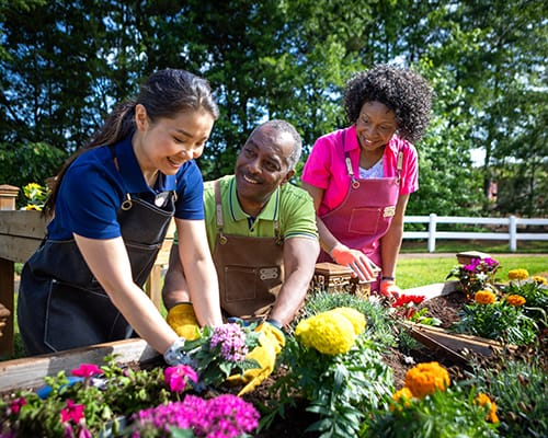 Group gardening