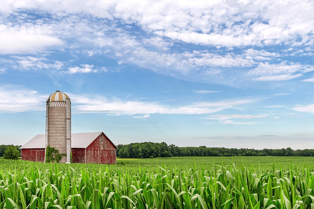 Brookdale Liberal Springs Assisted Living in Liberal KS Nursing Home