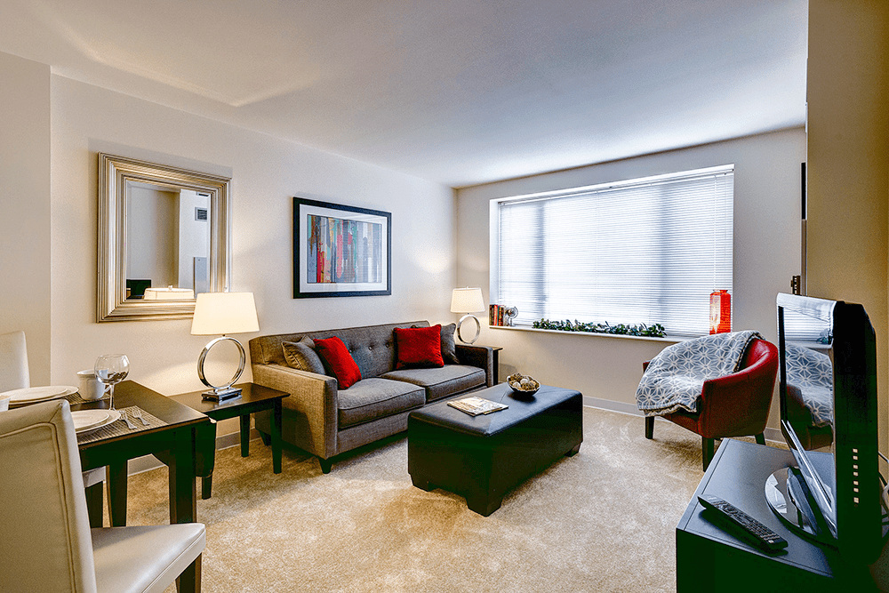 Apartment Living Room