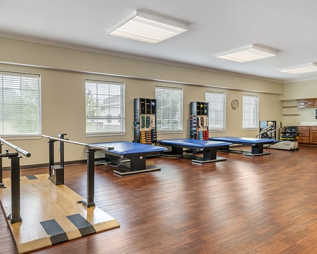 physical therapy