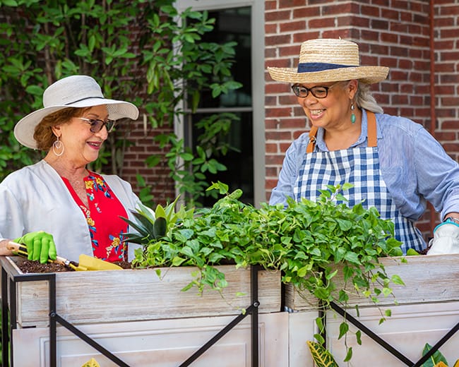 gardening