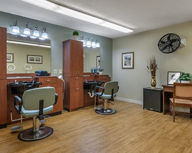 salon