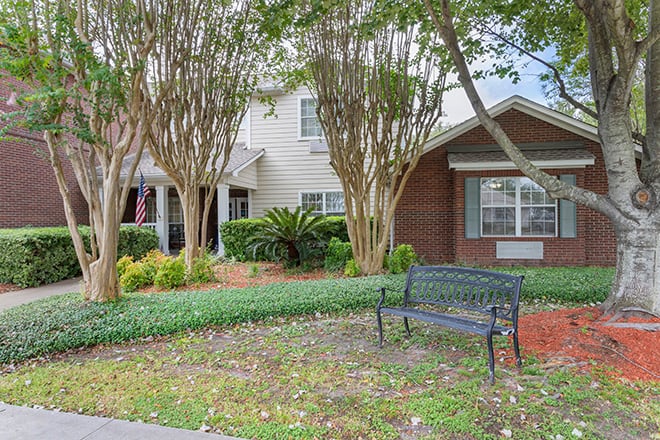 Brookdale Spring Shadows