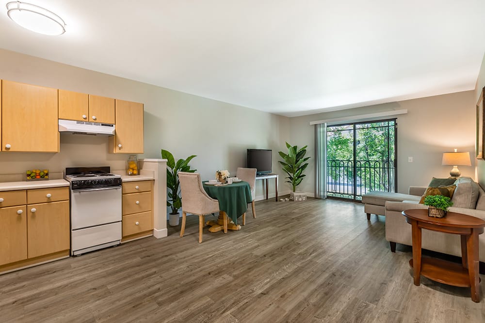 Apartment Living Room