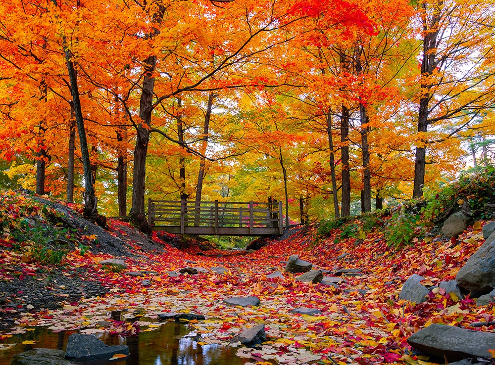 Assisted Living in Wilton CT Memory Care in Wilton CT