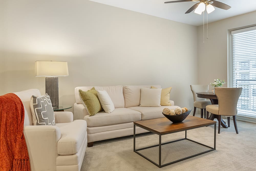 Apartment Living Room