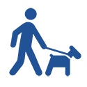 Walking Dog