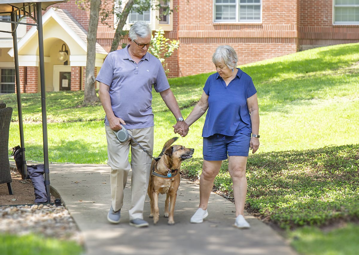 Couple holding hands walking a dog