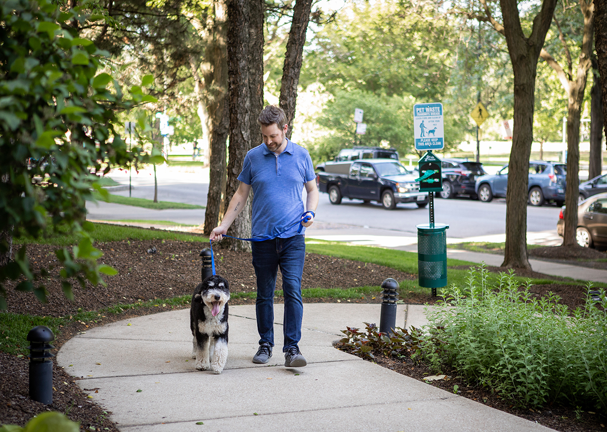 Common Dog Walking Injuries Brookdale Senior Living