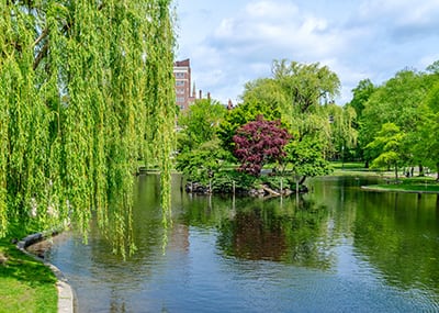 Boston public garden lake