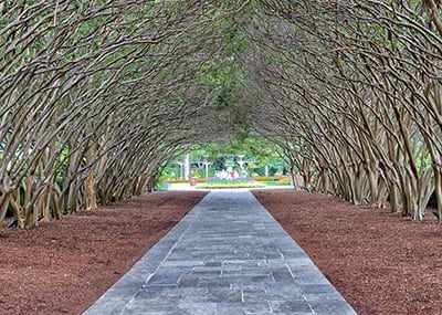 Dallas Botanic Gardens