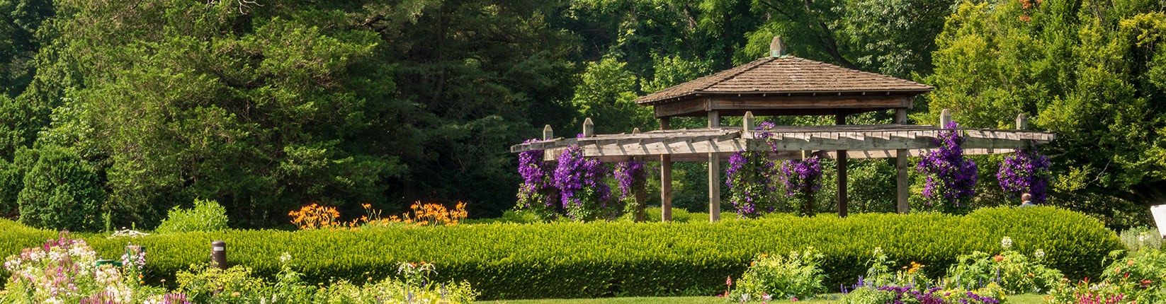 Hartford park