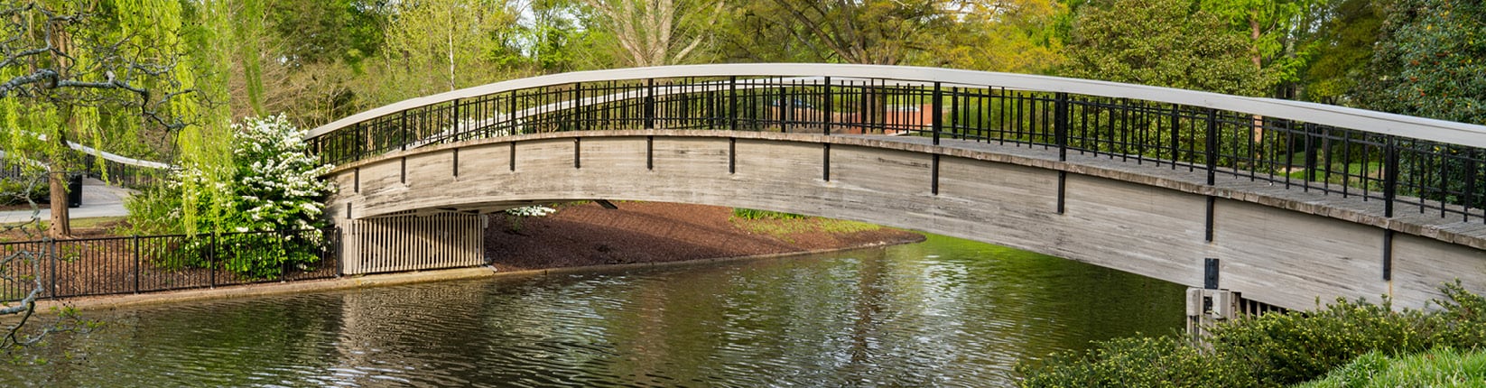 Raleigh park