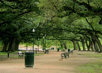 Houston park benches