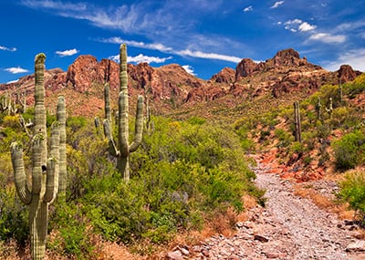 Phoenix desert hiking trail