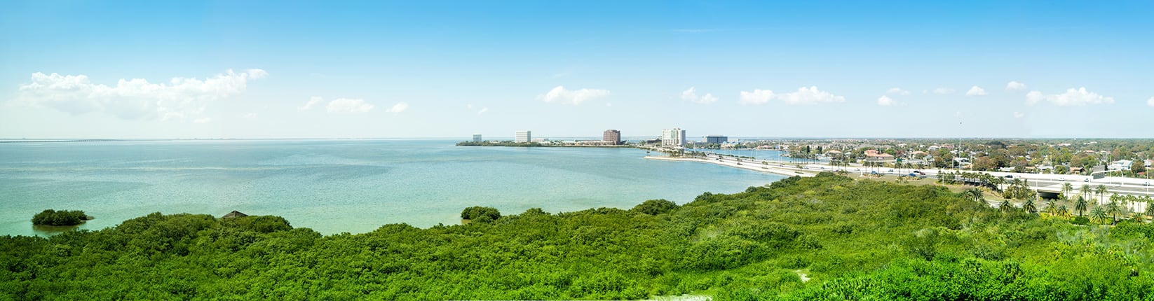 Old Tampa Bay