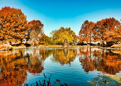 Columbus park and pond