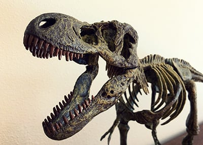 T-Rex