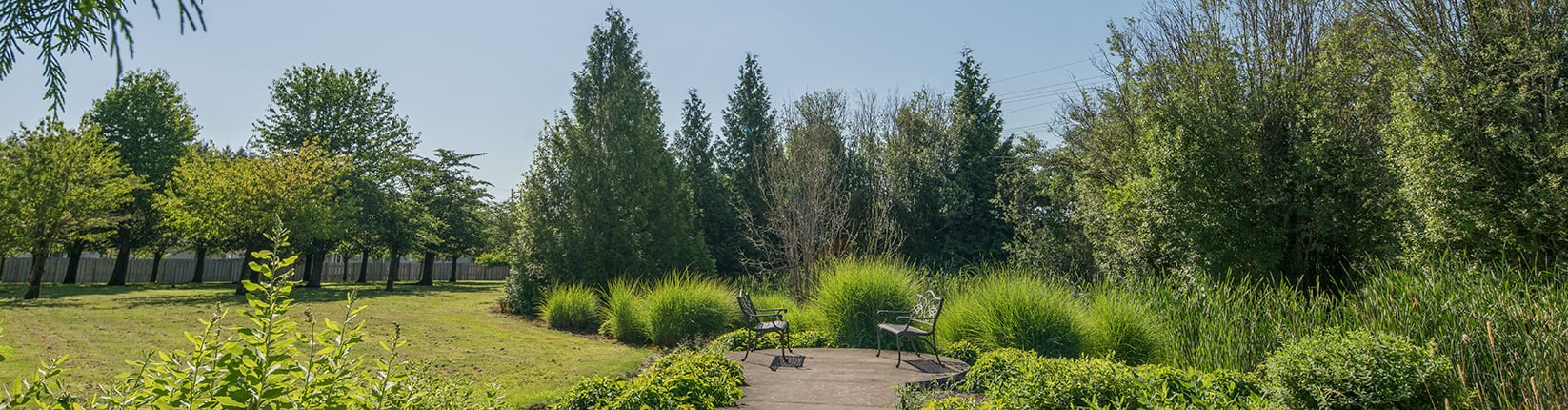image landscape