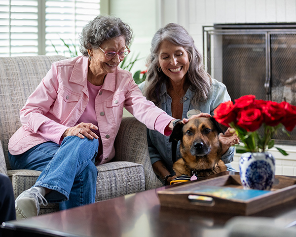 women sitting on bench with dogs