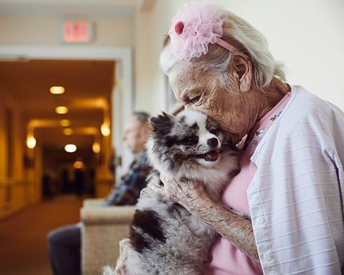 Woman hugging dog